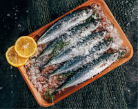 Salted Sardines